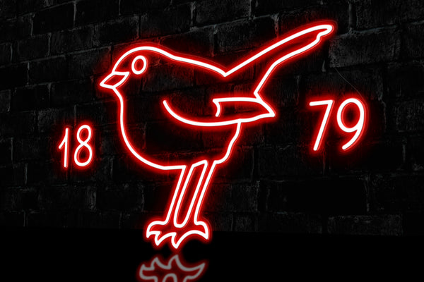 Robin & Year 1879 - Licensed LED Neon Sign, Swindon Town FC