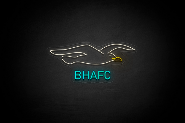 Seagull & "BHAFC" - Licensed LED Neon Sign, Brighton & Hove Albion FC