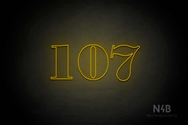 Number "107" (Bodoni Libre font) - LED neon sign