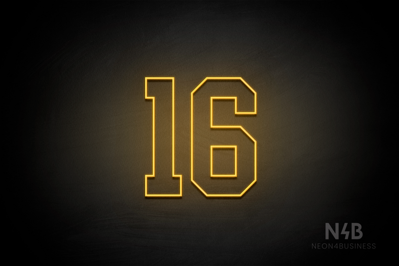 Number "16" (Details font) - LED neon sign