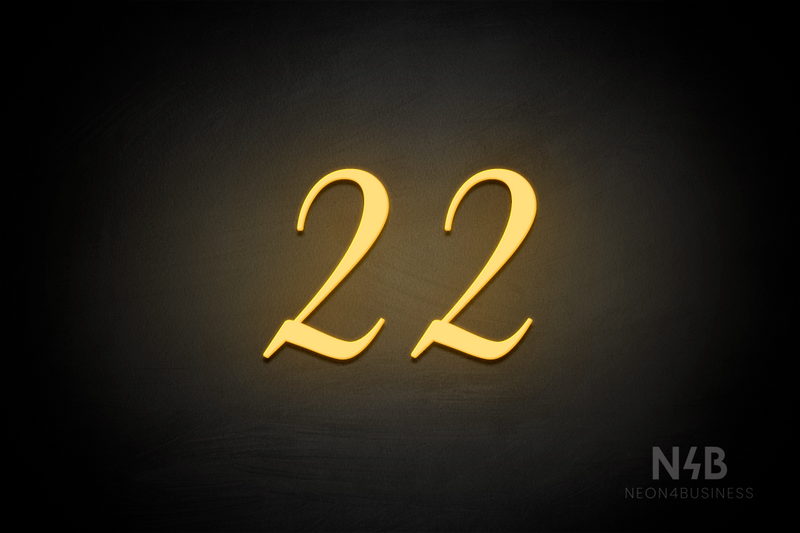 Number "22" (HighLights font) - LED neon sign