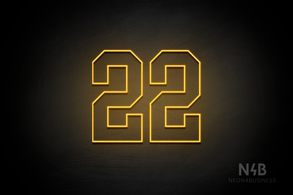 Number "22" (Details font) - LED neon sign