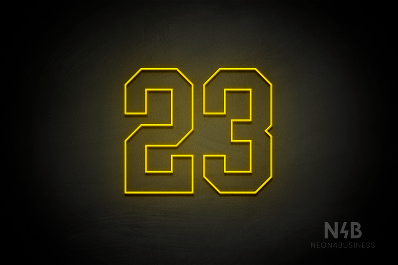 Number "23" (Details font) - LED neon sign