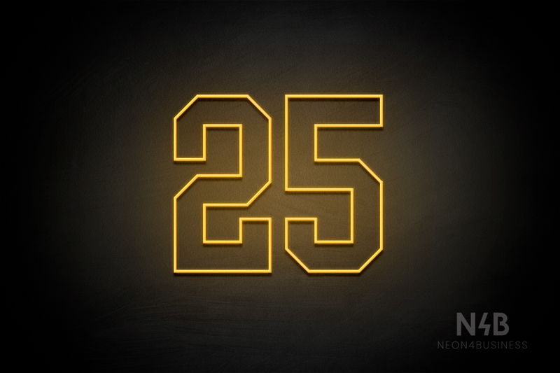 Number "25" (Details font) - LED neon sign