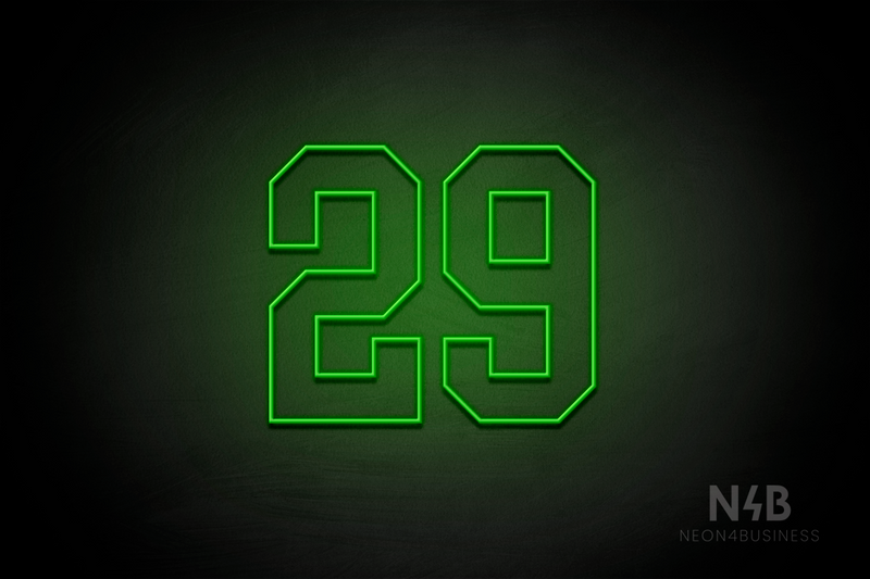 Number "29" (Details font) - LED neon sign