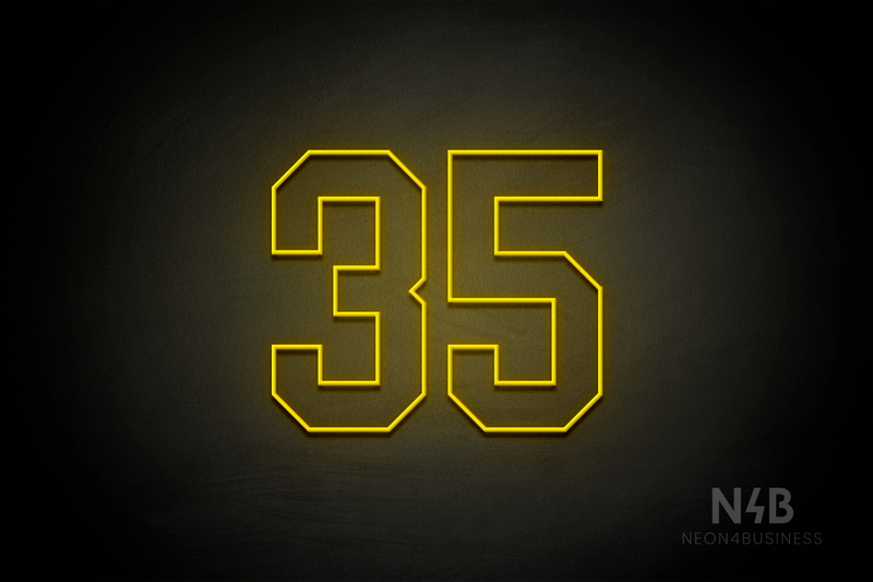 Number "35" (Details font) - LED neon sign