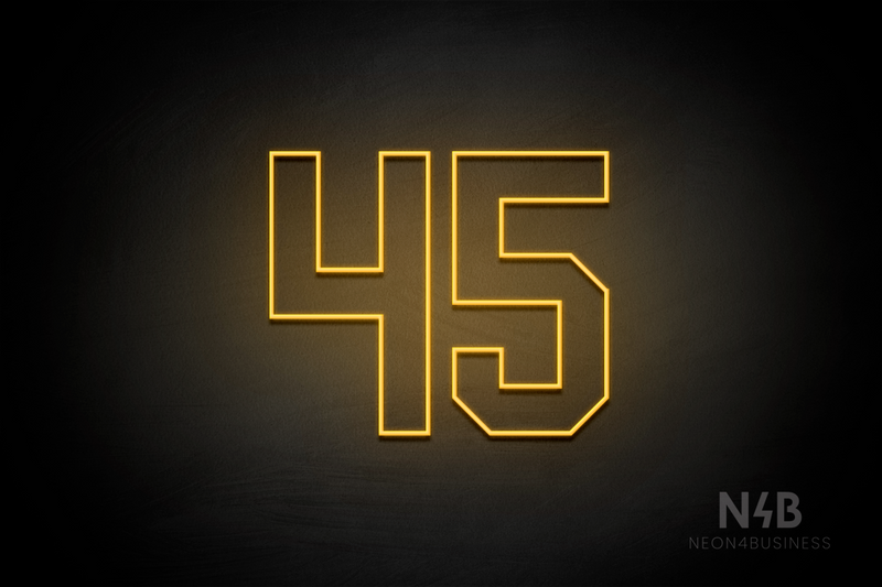 Number "45" (Details Font) - LED neon sign