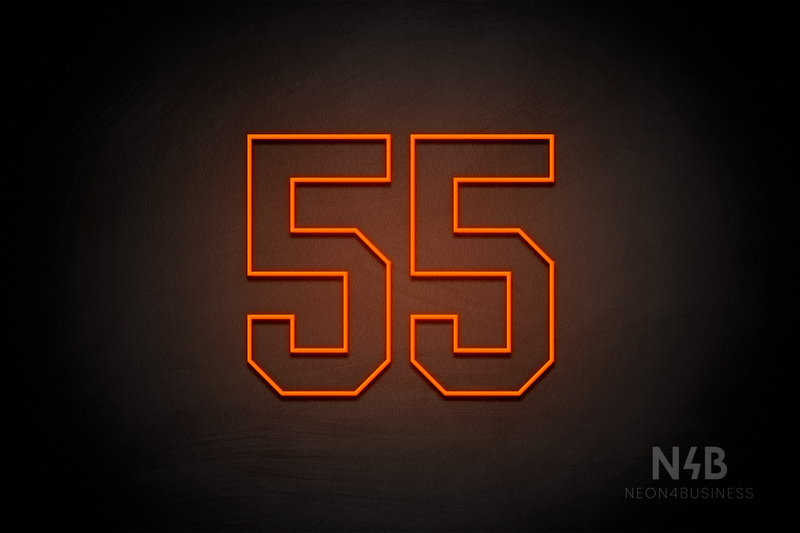 Number "55" (Details font) - LED neon sign