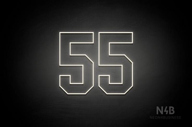 Number "55" (Details font) - LED neon sign