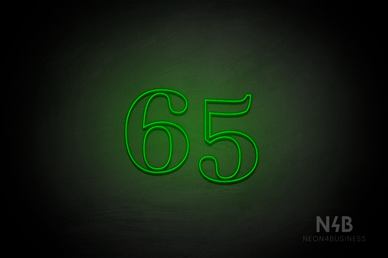 Number "65" (World font) - LED neon sign