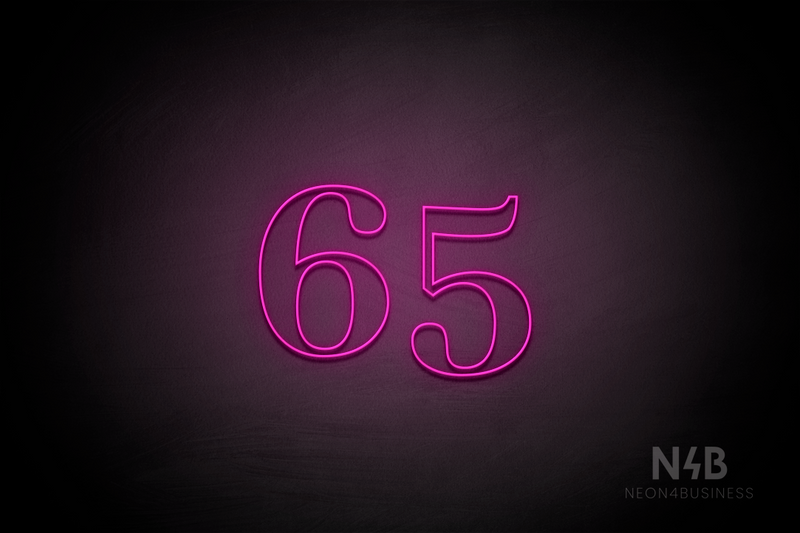 Number "65" (World font) - LED neon sign