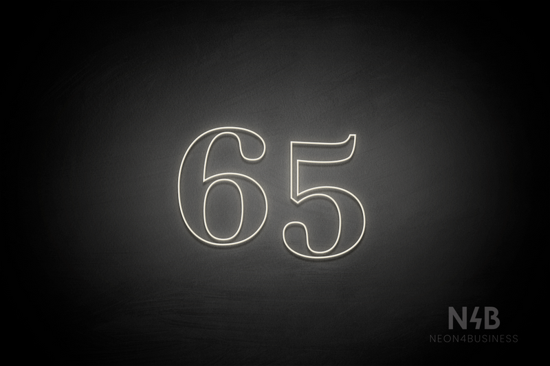 Number "65" (World font) - LED neon sign