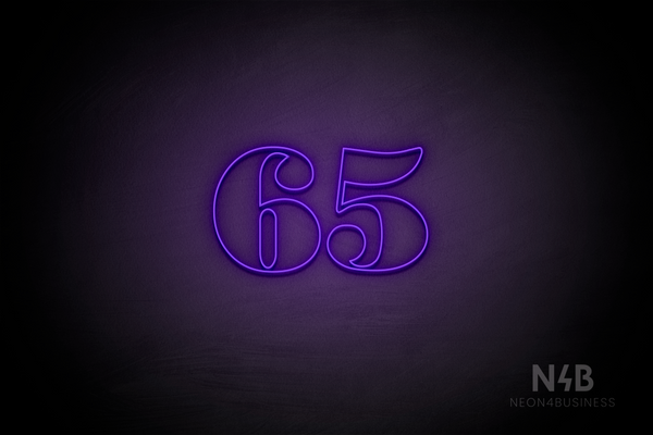 Number "65" (Bodoni Libre font) - LED neon sign
