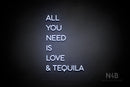 "ALL YOU NEED IS LOVE & TEQUILA" (Sunny Day Display font) - LED neon sign