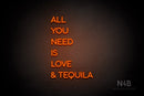 "ALL YOU NEED IS LOVE & TEQUILA" (Sunny Day Display font) - LED neon sign