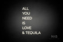 "ALL YOU NEED IS LOVE & TEQUILA" (Sunny Day Display font) - LED neon sign