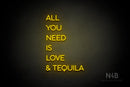 "ALL YOU NEED IS LOVE & TEQUILA" (Sunny Day Display font) - LED neon sign