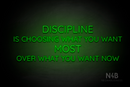 "DISCIPLINE IS CHOOSING WHAT YOU WANT MOST OVER WHAT YOU WANT NOW" (Castle font) - LED neon sign