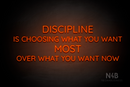 "DISCIPLINE IS CHOOSING WHAT YOU WANT MOST OVER WHAT YOU WANT NOW" (Castle font) - LED neon sign