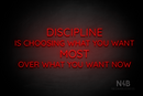 "DISCIPLINE IS CHOOSING WHAT YOU WANT MOST OVER WHAT YOU WANT NOW" (Castle font) - LED neon sign