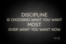 "DISCIPLINE IS CHOOSING WHAT YOU WANT MOST OVER WHAT YOU WANT NOW" (Castle font) - LED neon sign