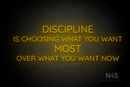 "DISCIPLINE IS CHOOSING WHAT YOU WANT MOST OVER WHAT YOU WANT NOW" (Castle font) - LED neon sign