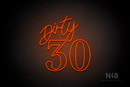 "Dirty 30" (Custom - Camilot font) - LED neon sign