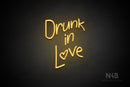 "Drunk in Love" (Avriella font) - LED neon sign