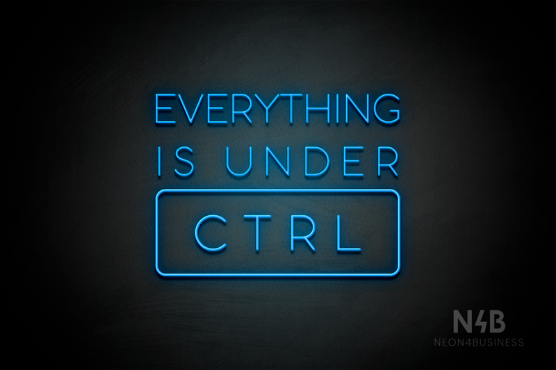 "EVERYTHING IS UNDER CTRL" (Sunny Day font) - LED neon sign