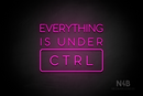 "EVERYTHING IS UNDER CTRL" (Sunny Day font) - LED neon sign