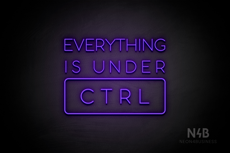 "EVERYTHING IS UNDER CTRL" (Sunny Day font) - LED neon sign