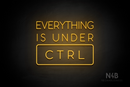 "EVERYTHING IS UNDER CTRL" (Sunny Day font) - LED neon sign
