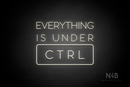 "EVERYTHING IS UNDER CTRL" (Sunny Day font) - LED neon sign