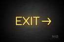 "EXIT" (right arrow, Cooper font) - LED neon sign
