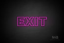 "EXIT" (Seconds font) - LED neon sign