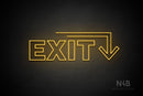 "EXIT" (right down arrow, Seconds font) - LED neon sign