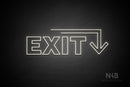 "EXIT" (right down arrow, Seconds font) - LED neon sign