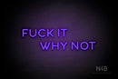 "FUCK IT WHY NOT" (Sunny Day Small Caps font) - LED neon sign