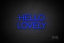 "HELLO LOVELY" (Sunny Day font) - LED neon sign
