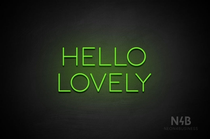"HELLO LOVELY" (Sunny Day font) - LED neon sign