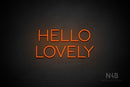 "HELLO LOVELY" (Sunny Day font) - LED neon sign