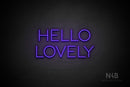 "HELLO LOVELY" (Sunny Day font) - LED neon sign