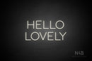 "HELLO LOVELY" (Sunny Day font) - LED neon sign