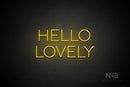 "HELLO LOVELY" (Sunny Day font) - LED neon sign