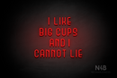 "I LIKE BIG CUPS AND I CANNOT LIE" (Bubbles font) - LED neon sign