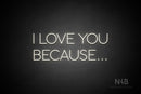 "I LOVE YOU BECAUSE..." (Sunny Day font) - LED neon sign