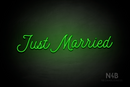 "Just Married" (StereoDEMO font) - LED neon sign