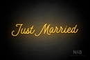 "Just Married" (StereoDEMO font) - LED neon sign