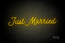 "Just Married" (StereoDEMO font) - LED neon sign