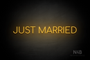 "JUST MARRIED" (Cooper font) - LED neon sign